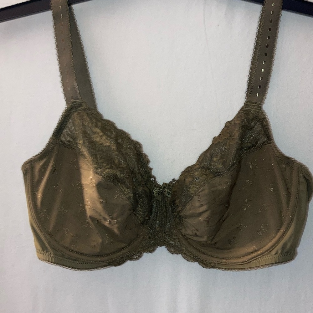Delimira Bra